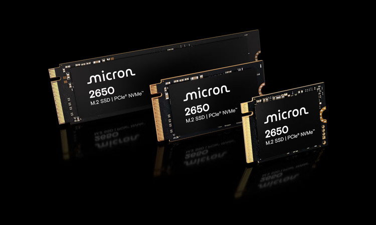 اس اس دی اینترنال مایکرون 2650 NVMe ظرفیت 256 گیگابایت PCIe Gen4x4 M.2 2230